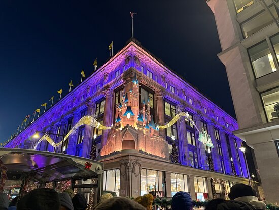 A corner department store washed in purple light with a festive window display