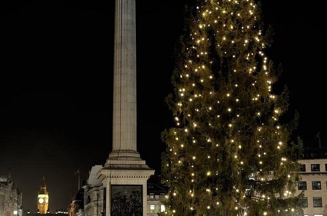 A tall spruce strung with vertical strings of lights beside a stone column at night